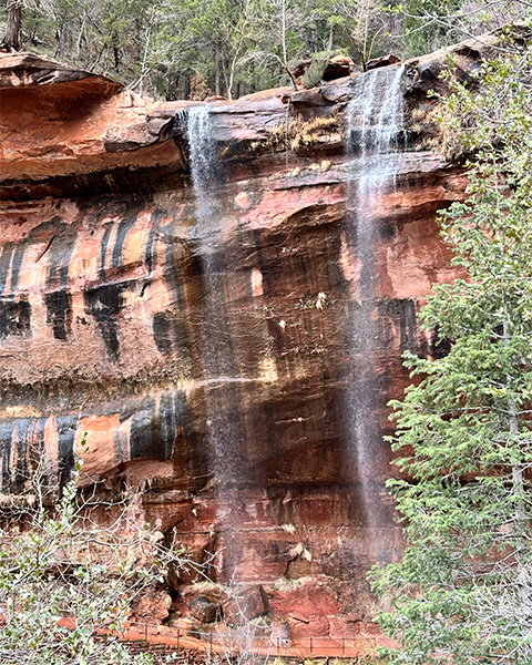 Roadtrip Zion
