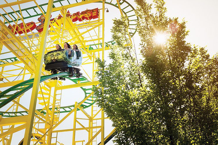 Wild Mouse at Lagoon