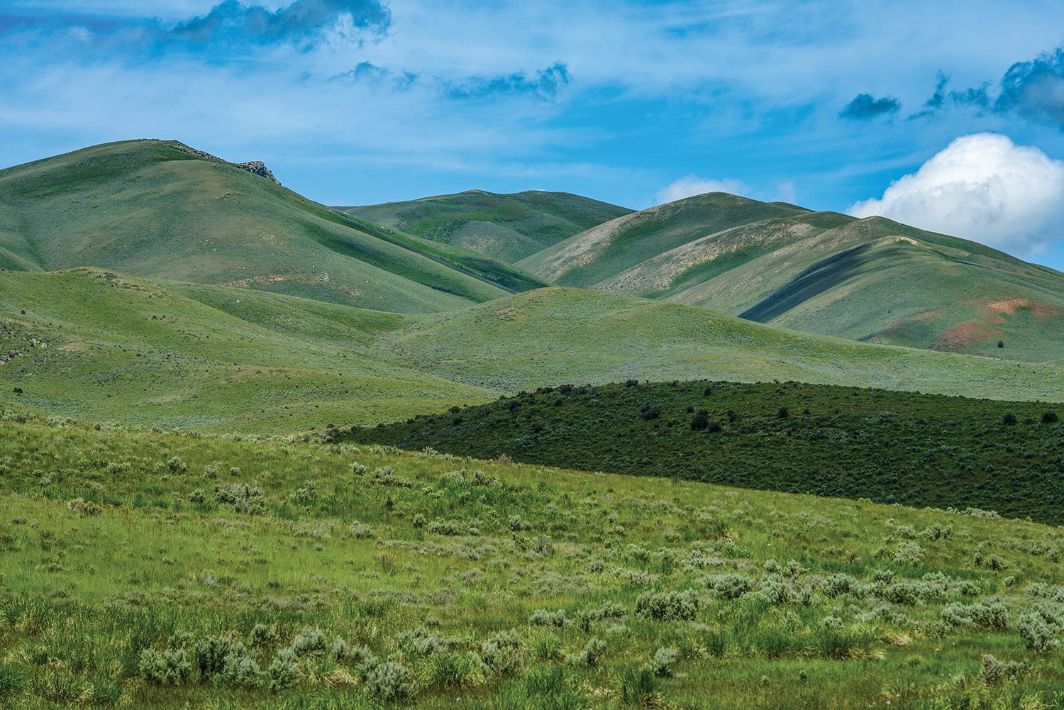 In 1998 decision, the Redford family place 900 acres of land near Sundance in a conservation easement with Utah Open Lands. 