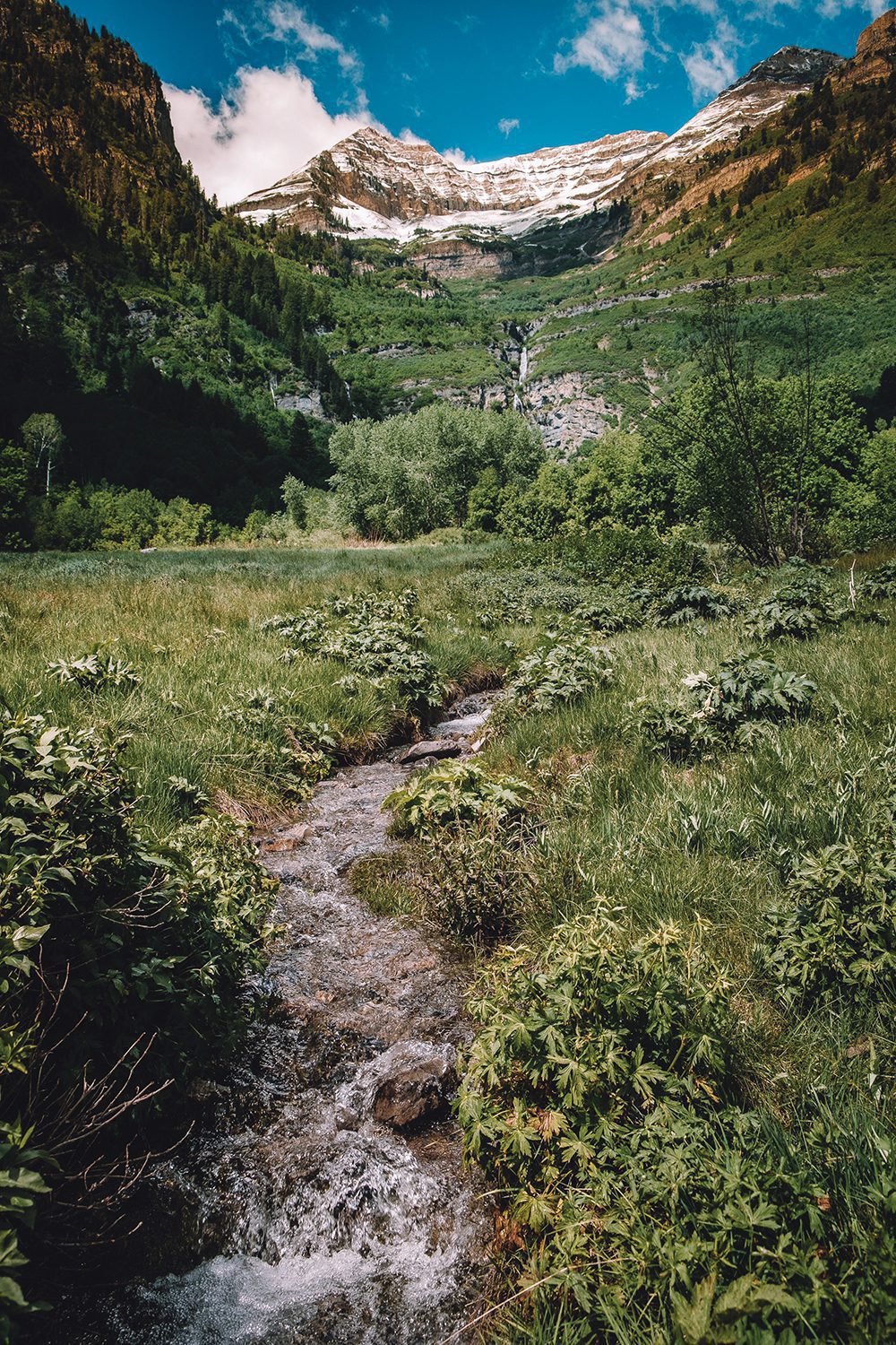Stewart Falls Meadow, which is now part of the newly created Redford Family Elk Meadows Preserve