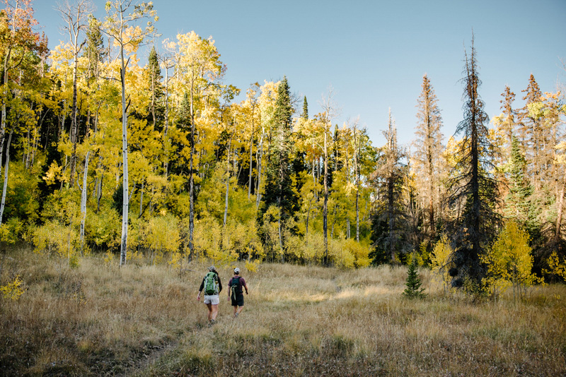 Fall Hikes Salt Lake City