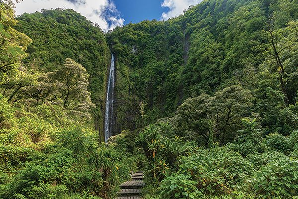 Maui Road trip 