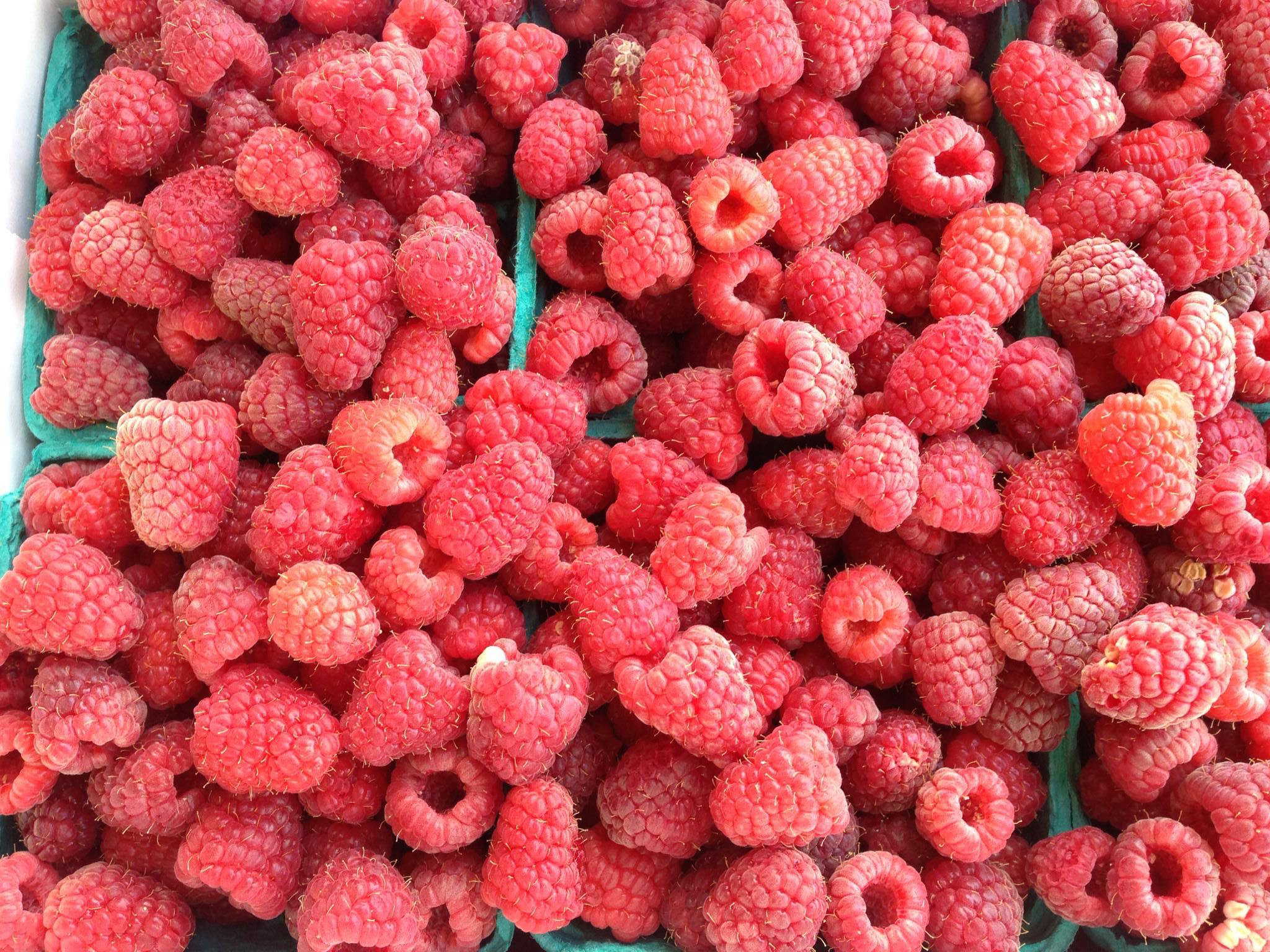 Fresh raspberries