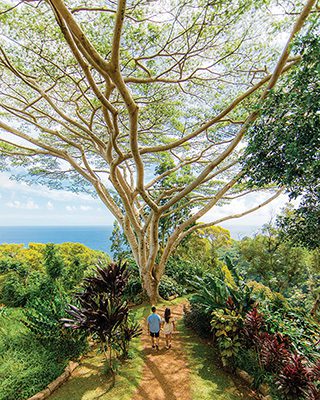 Maui Roadtrip