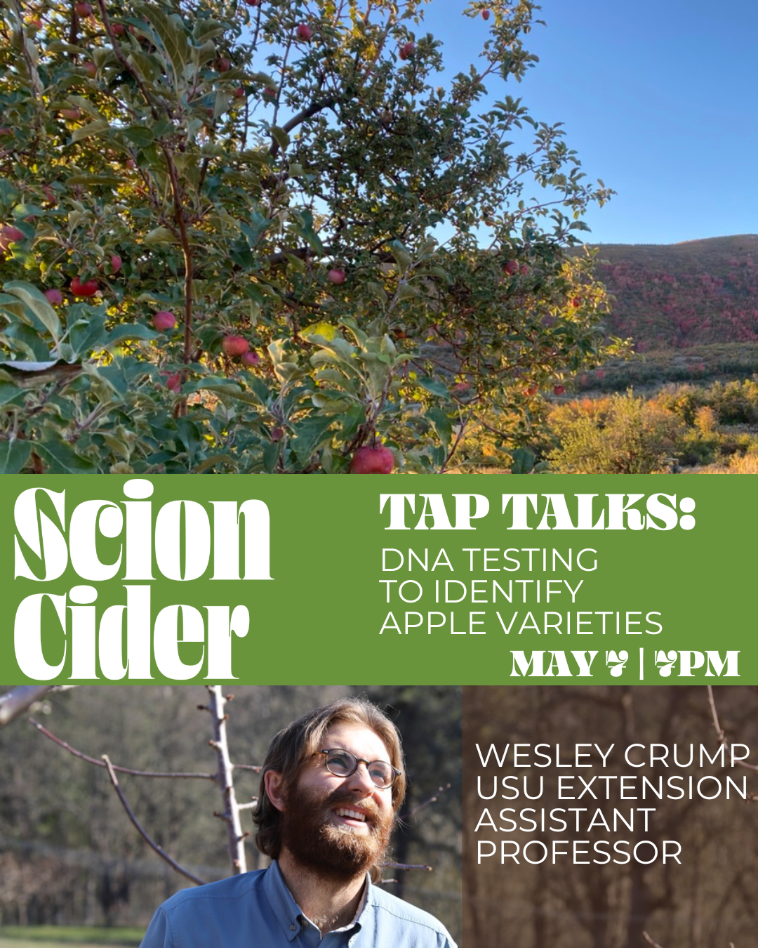 Scion Cider Bar