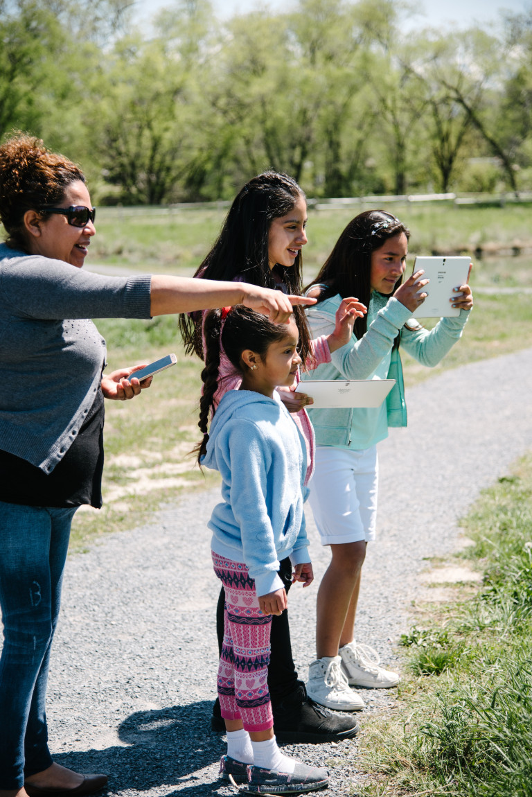 City Nature Challenge BioBlitz: Jordan River Migratory Bird Reserve