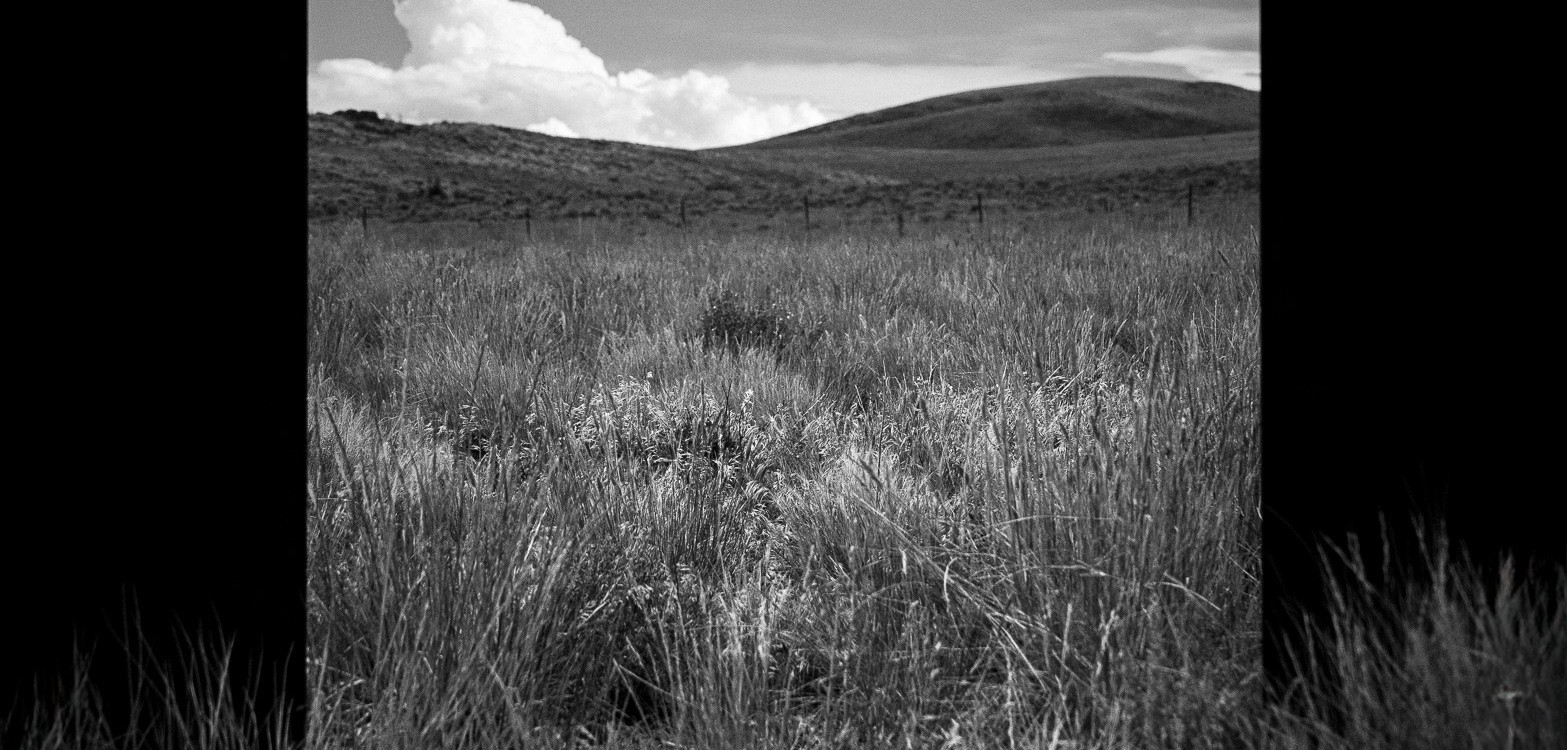 Found Frames: Photography Workshop w/ Alex Fuller